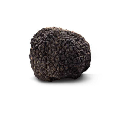 Fresh truffle